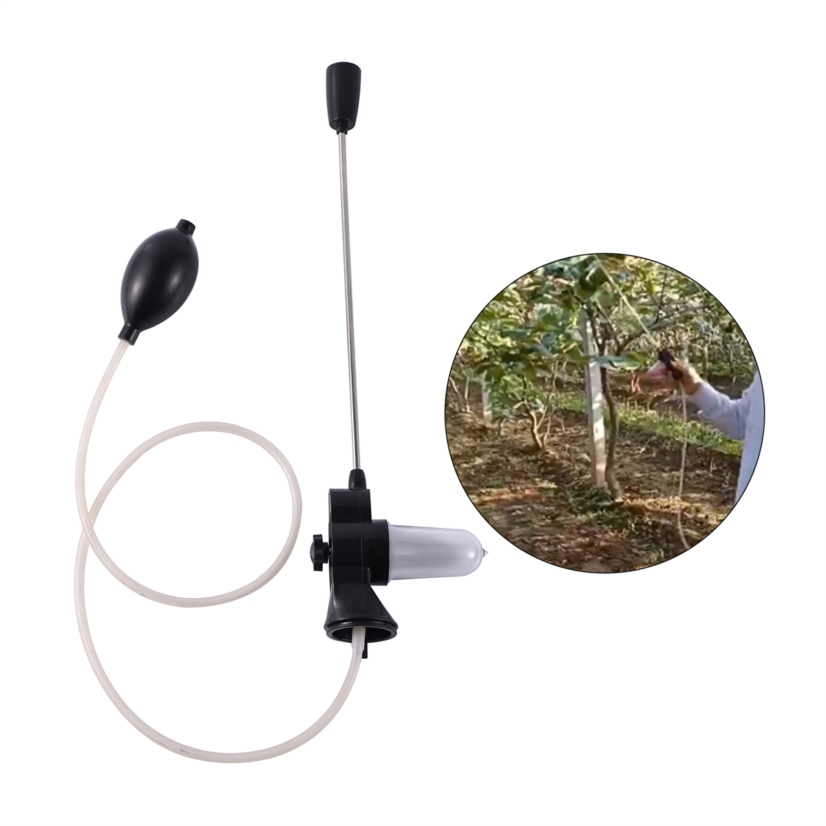 Telescopic Rod Pollen Pollinat - مراجعة Fishing Rod Telescopic وسعره